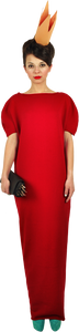 Maxi Lenght Princely Dress in Lipstick